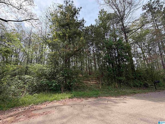 3rd image of 0 James Lake Rd #1