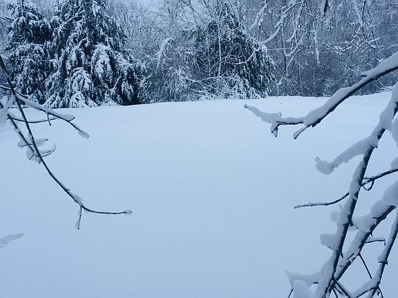 3rd image of 22212 W Calvin Dr