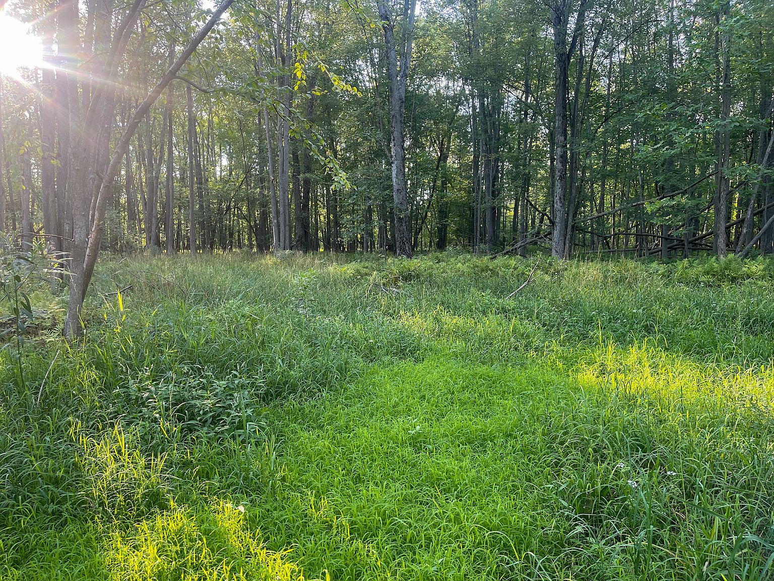 7124 Vandyke Rd LOT WP001, Minden City, MI 48456 Zillow