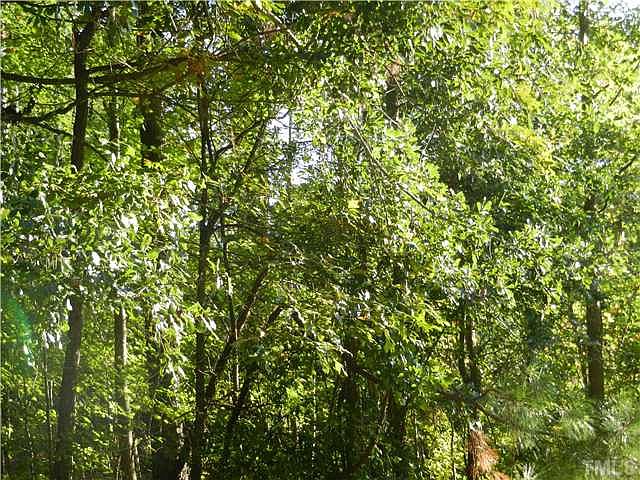 2nd image of TRACT 5 Creech Rd #5