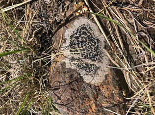 362 Castle Mountain Dr, Mountain dr, CO 80816