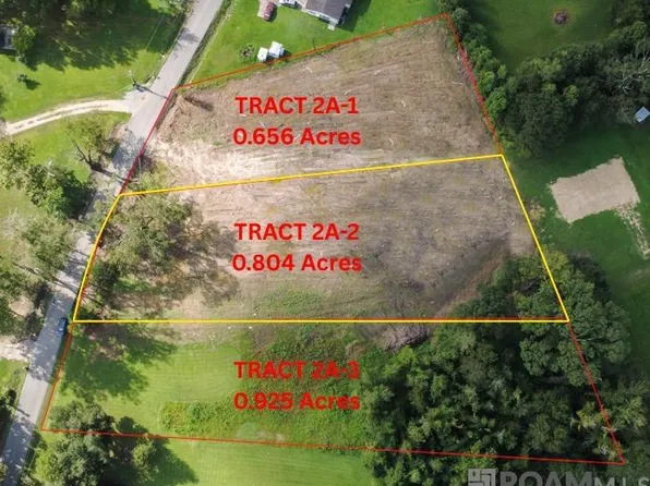 TRACT 2A Two Muddy Creek Rd, Prairieville, LA 70769