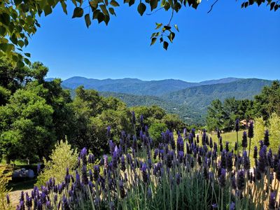 31440 Via Las Rosas, Carmel Valley, CA, 93924