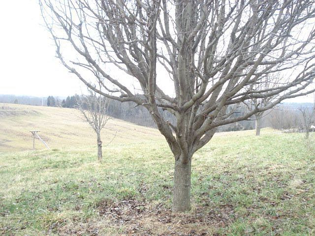 2nd image of 9665 Mason Lewis Rd