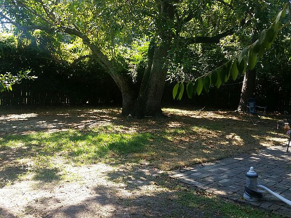 Rear yard