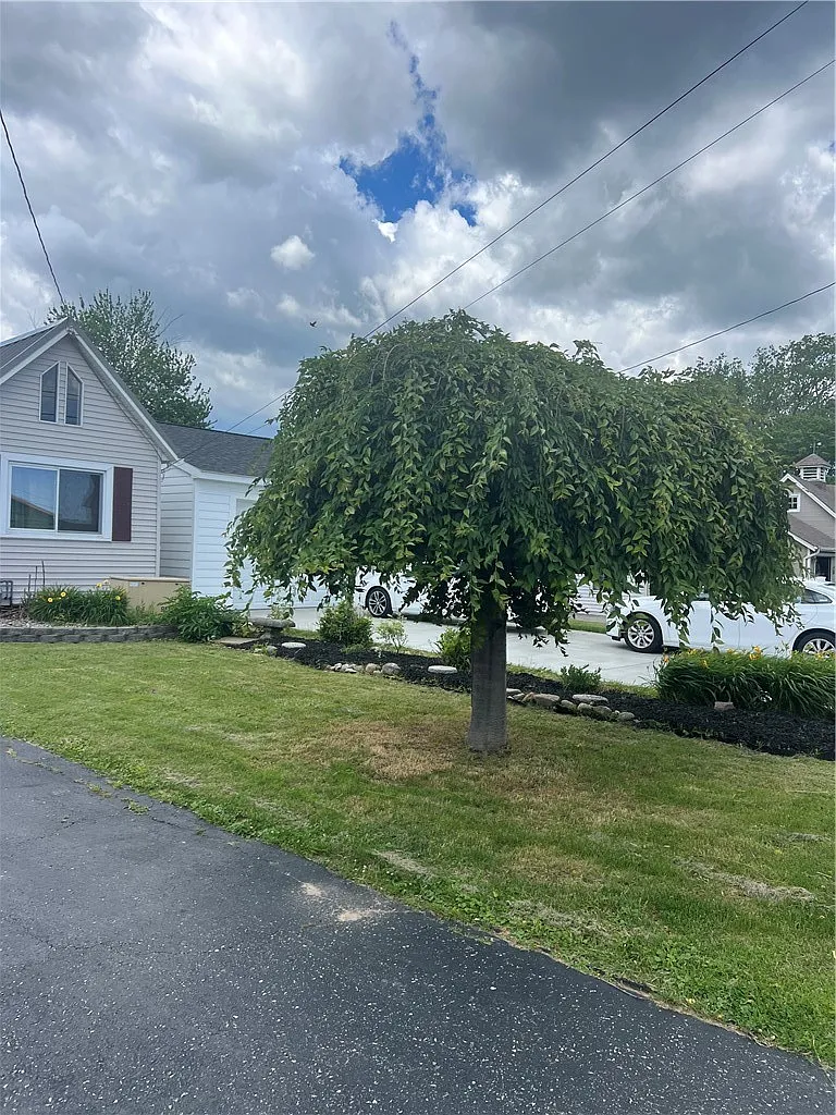1 bed, 1.0 bath, 656 sqft, $2,250 — Photo 4