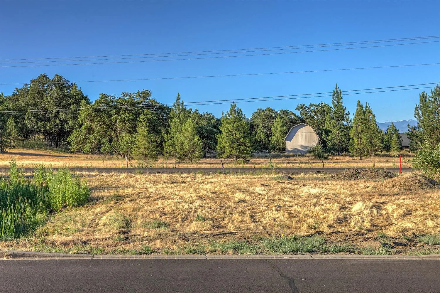 1026 Ruby Meadows Dr photo 1