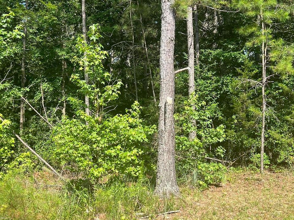 2nd image of 0 Old Hart Rd