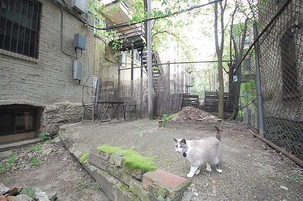 Rented by Corcoran | media 11