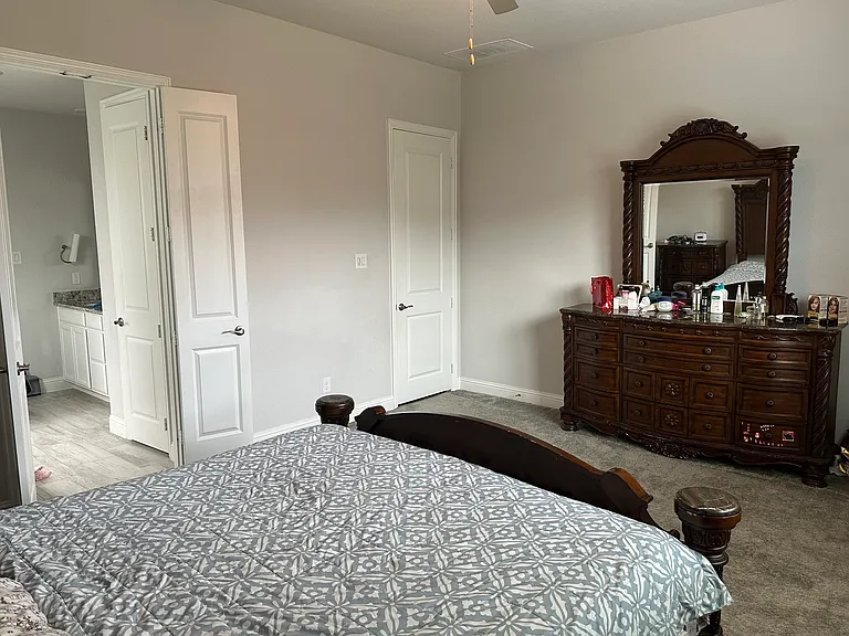 4130 Bullwhip Creek Ln — Photo 10