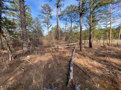 400 Tree Farm Rd, Melbourne, AR, 72556