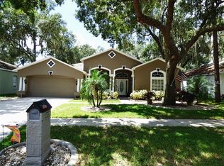 3729 Cold Creek Dr, Valrico, FL 33596