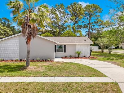 14031 Arbor Knoll Cir, Tampa, FL, 33625