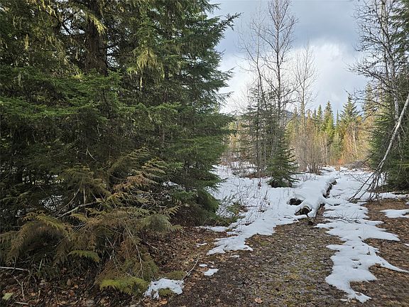 2nd image of 801 Bobbie Burns Rd