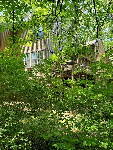 23320 Red Oak Ct Photo 1