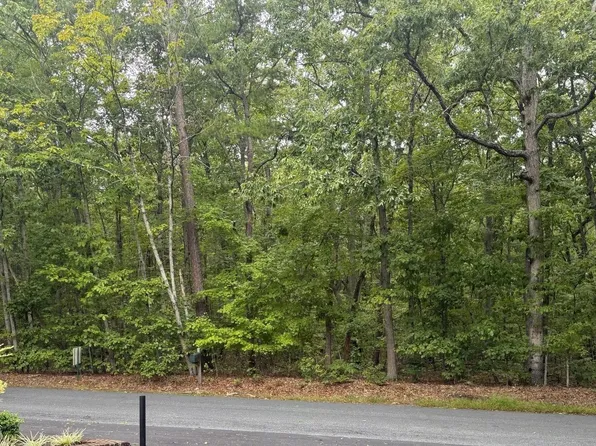 Tbd Blenheim Rd, Scottsville, VA 24590