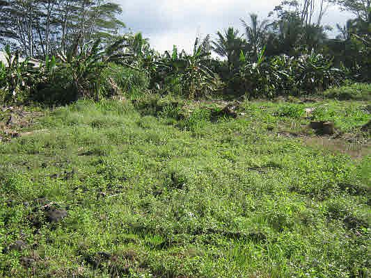 1st image of 15-2755 Ahi St Lot 90