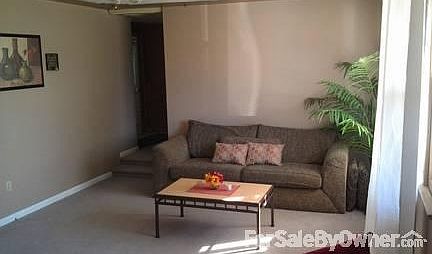 Sunken Living Room