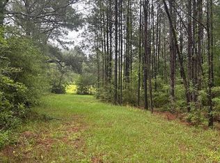 0 Forbes Rd, Sandy Hook, MS 39478