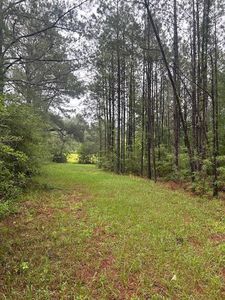 0 Forbes Rd, Sandy Hook, MS, 39478