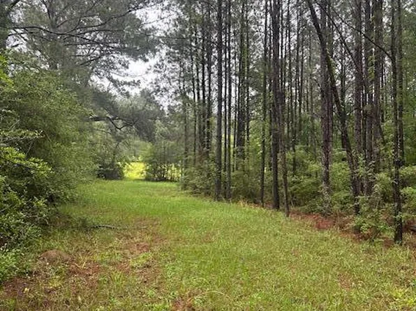 0 Forbes Rd, Sandy Hook, MS 39478