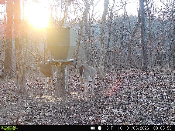 2nd image of 0 Kemper Hollow Rd #40AC