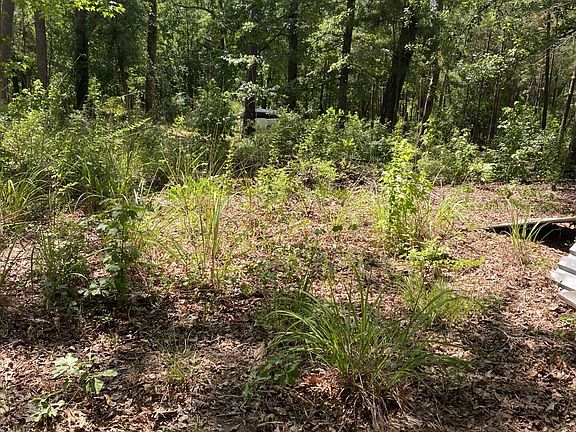 4th image of 33 Shelter Creek Drive