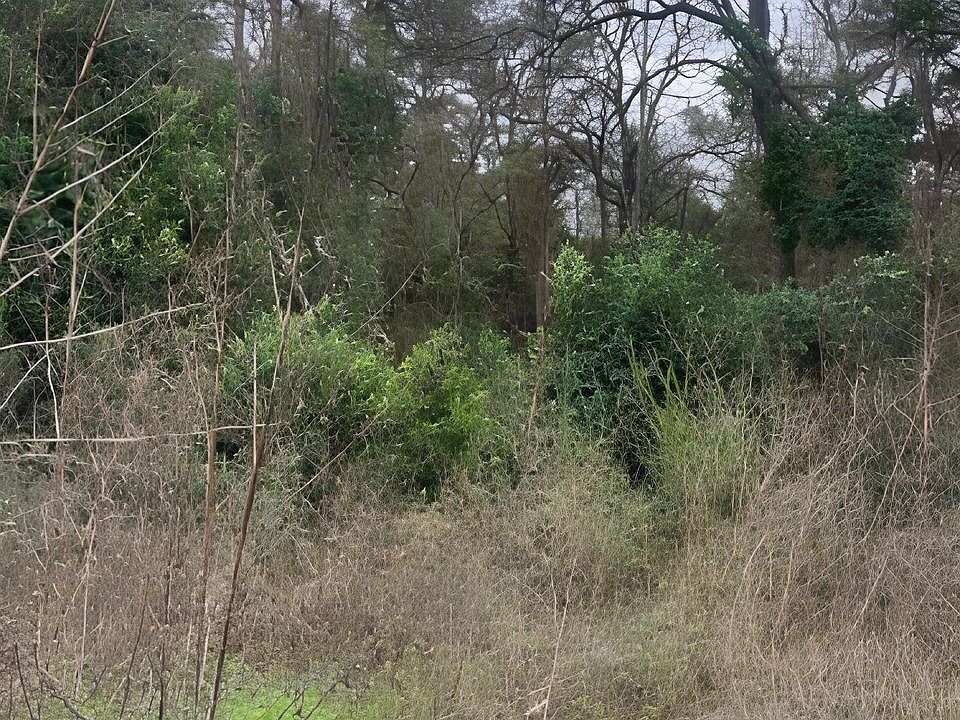 1st image of 22781 Dogwood Trl