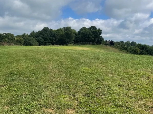 0 Flat Springs Rd. Flat Springs Rd Drive, Elk Park, NC 28622