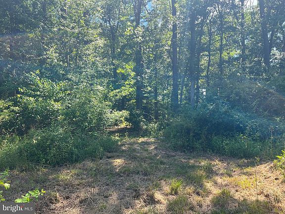 5th image of Cedar Ct