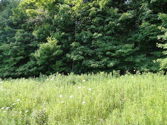 2nd image of 4136 Township Road 99