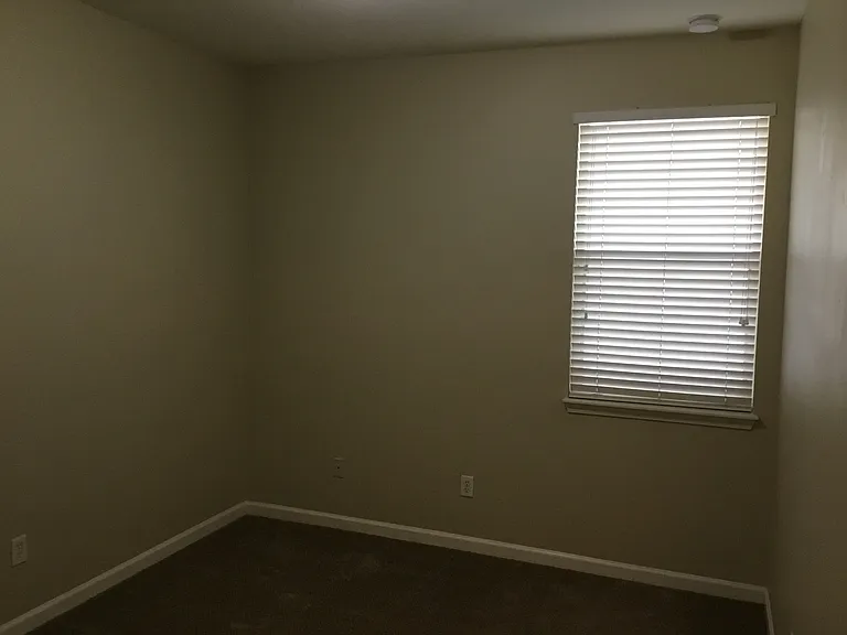 3786 Ringneck Dr — Photo 25