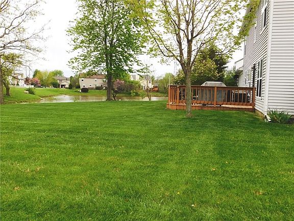 view of pond