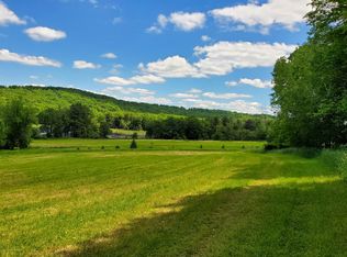 Stearns Rd, New Milford, PA 18834
