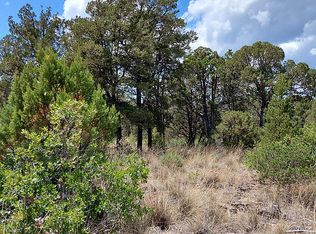 49 Kariba Dr, Timberon, NM 88350