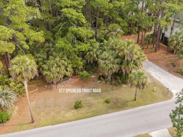 377 Speckled Trout Road, Fripp Island, SC 29920