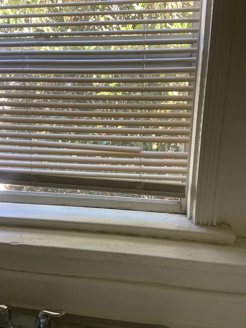Isabel Apartments, LLC — Photo 3