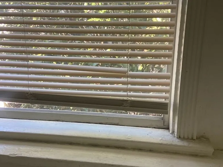 117 S Isabel St — Photo 10