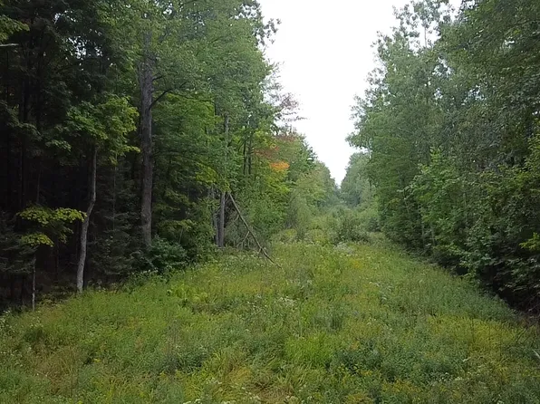 Birch Rd, Crandon, WI 54520