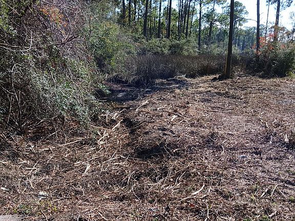 4th image of 15 Santa Pine St