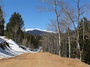 231 Wise Rd, Bailey, CO 80421