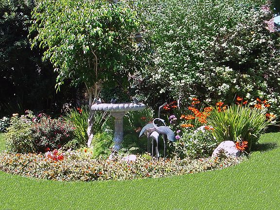 Backyard Garden Area