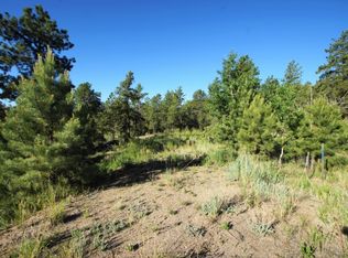 14481 Wandcrest Dr, Pine, CO 80470