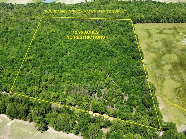 5 County Road 4315, Avery, TX 75554