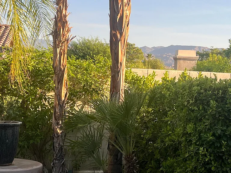 7 Dickens Ct — Photo 26