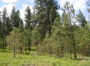 L20 Misty Mountain Trl, Lowman, ID 83637