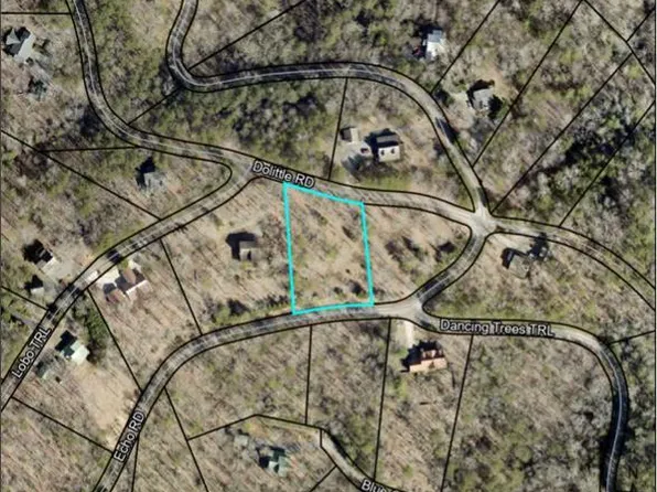 252 Dolittle Rd, Morganton, GA 30560