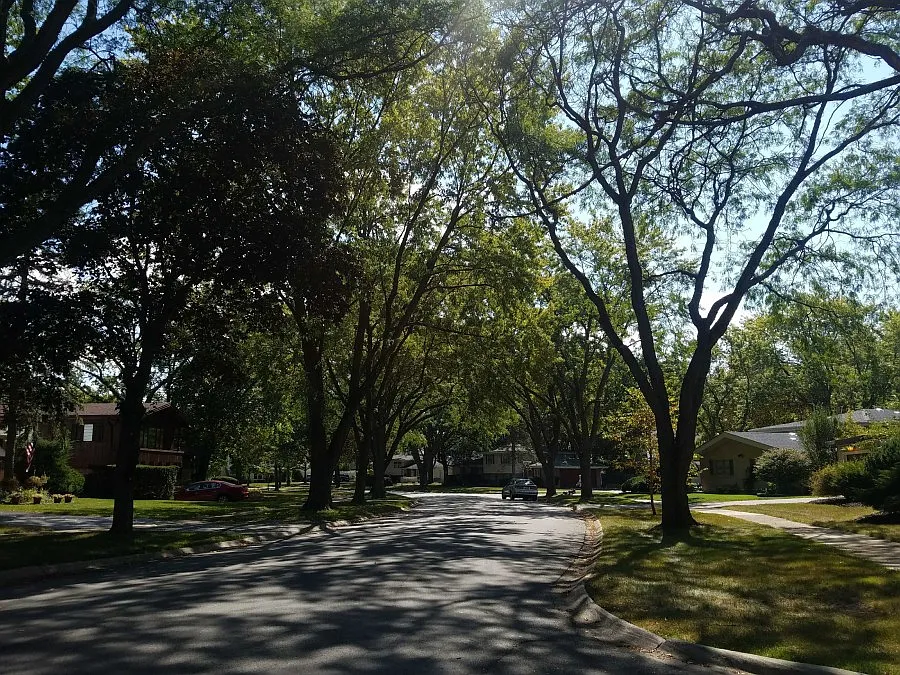 Property photo 5