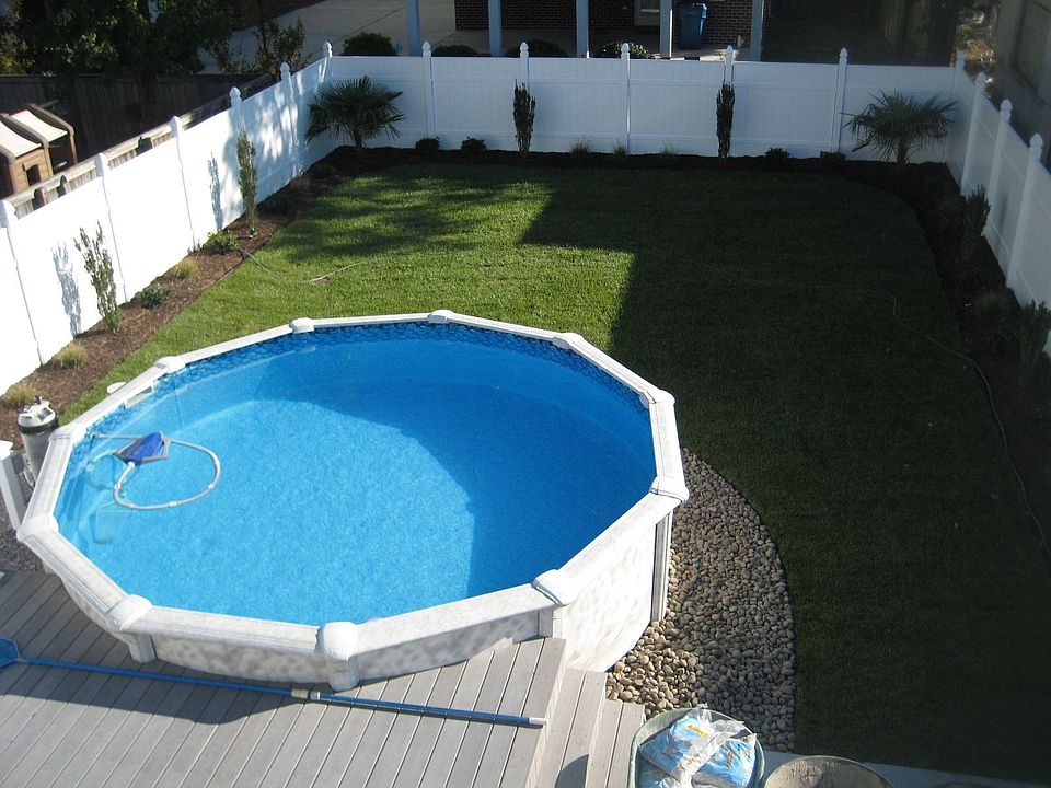 Pool & Palm Trees N Backyard