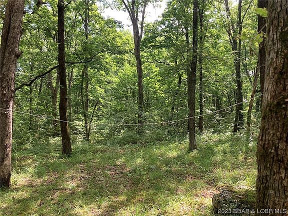 3rd image of 4493 Ponderosa Dr